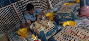 Stabilkan Harga, Peternak Gagas Perda Ayam Boiler