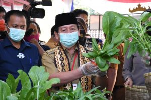 Pinang Jaya Kemiling Didaulat Jadi Kampung Tangguh, Ini Kriterianya