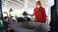 Walikota Target Hijaukan Bandarlampung