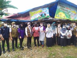 Jelang Idul Adha Tim Gabungan Satgas Bandarlampung Sidak Hewan Kurban