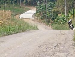 Walikota Eva Dwiana tinjau cor beton jalan terusan Teuku Cik Ditiro