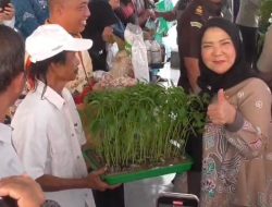 Pemkot Bandar Lampung Bagikan Bantuan Alat Pertanian untuk Jaga Ketahanan Pangan