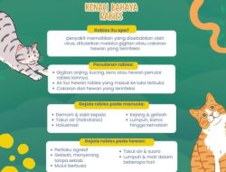 Stok Vaksin Rabies di Bandar Lampung Menipis