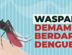 Kasus DBD Capai 382, Dinkes Bandar Lampung Himbau Warga Perketat 3M Plus
