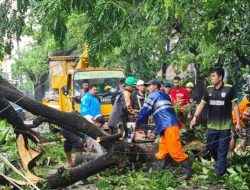 Hujan Deras dan Angin Kencang Guyur Bandar Lampung BPBD Mencatat Berdampak di Beberapa Kecamatan