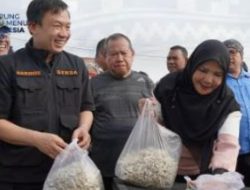 Walikota dan Sekda Pemprov Lampung Tinjau Sentra Ikan Teri Pulau Pasaran