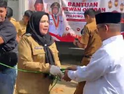 Walikota Eva Dwiana Serahkan Sapi Kurban Bantuan Presiden Prabowo